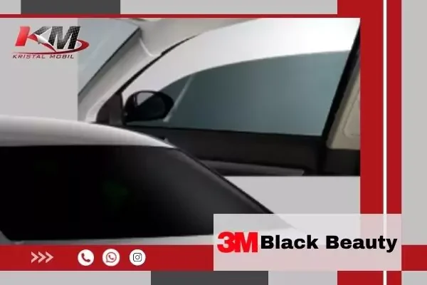 Black Beauty